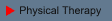 Physical Therapy